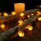 Halloween Lights 3D Jack-o-Lantern 10ft 30 LEDs Pumpkin String Lights Battery Powered Orange Lights for Halloween Party Indoor Fall Outdoor Harvest Thanksgiving Decorations